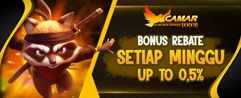 VIP Rebate Slot Game Hingga 0.5% promotion